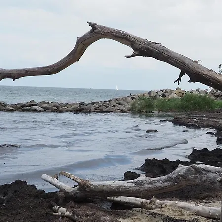 Seebaer Casa de Férias